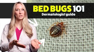 Bed Bugs 101: How to Prevent Getting them - A Dermatologist's guide for Travel