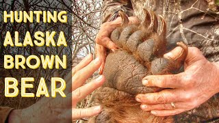 Alaska Kodiak Archipelago Bruins: Brown Bears