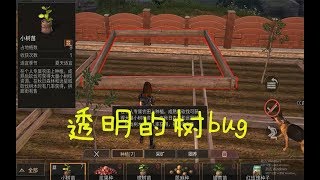 明日之后：新版本出现新BUG 种树种出神树 这树竟然是透明的  狂野之风