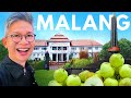 AKU DIKIRIM YOUTUBE PERGI KE MALANG KETEMU MENTERI!!