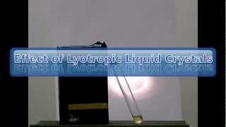 Effect of lyotropic liquid crystals