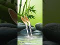 relaxing music nature sounds 35 relaxing meditationmusic relax watersounds bamboo sleepmusic