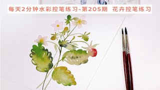 每天2分钟 一起来练水彩控笔 第205期  植物控笔练习