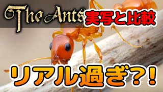 【ザ・アンツ】ゲームの画像を蟻の写真と比較してみた 【the ants 】 #Shorts