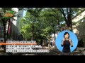 まるごと府中2015年5月21日～31日放映分