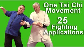 One Tai Chi Movement 25 Self-Defense Applications