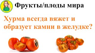 Фрукты   плоды мира 61 – Хурма вяжет и образует камни в желудке? Фитобезоары