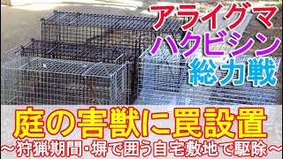 ハクビシンとアライグマ捕獲駆除～猟友会の箱罠に加え狩猟期間に塀で囲った自宅敷地内に設置～