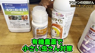 【家庭菜園・農業】化学合成農薬以外の農薬を使用していますが、現在使用しているその農薬を紹介(#2)！ サフオイル乳剤 サンクリスタル コロマイト スピノエース 2023.07.11