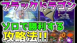 【ドラクエウォーク】絶対ゲットしたいこころ「ブラックドラゴン」がメガモンで登場！ソロで勝利する攻略法【DQW】【DQウォーク】【ドラゴンクエストウォーク】