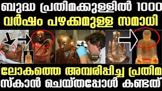 ബുദ്ധ പ്രതിമക്കുള്ളില്‍ 1000 വര്‍ഷം പഴക്കമുള്ള സമാധി കണ്ടെത്തി |1000 year old Samadhi found in china