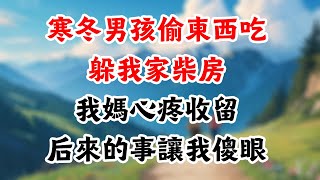 寒冬，男孩偷东西吃躲我家柴房，我妈心疼收留，后来的事让我傻眼 #淺談人生#為人處世#生活經驗#情感故事#養老#退休#花開富貴#深夜淺讀#幸福人生#中老年頻道