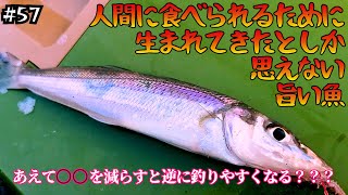 【キス天食いたい】逆転の発想で釣りまくれ！一見非効率に感じる方法で釣果を伸ばす！