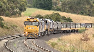 7735V Pacific National Grain Train Stops On Lovely Banks (30/12/2020) - PoathTV Australian Railways