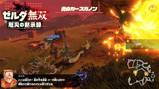 記憶チャレンジ全攻略DLC2【Ex イーガ団撤退戦】を解説。スッパ解放も。★概要欄を読んでくださいね。★【ゼルダ無双厄災の黙示録】