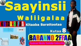 SAAYINSII WALII GALAA KUTAA 8FFAA YAADA BU’UURAA QORANNAA SAAYINSAAWAA BOQONNAA 1FFAA,BARANNOO 2FFAA