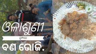 ଓଳାଶୁଣୀ ଗୁମ୍ଫାରେ ଭୋଜି..olasuni gumpha re bana bhoji..   #odiavlogs #blog #enjoy