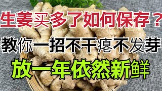 生薑買多如何保存？教你一招，不乾癟不發芽，放一年依然新鮮！