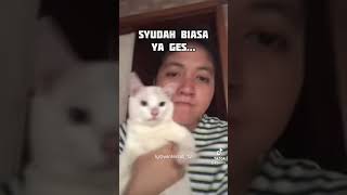 Ketika kelakuan majikan durjana 😭✨ #kucingviral #catlover #kucinglucu #short #kucingtiktok