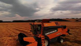 Wheat harvest 2019 at LykkensPrøve in Norway