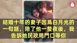 【兩頁小說】結婚十年的妻子因爲白月光的一句話，陪了他一整夜後，我告訴她民政局門口等你#故事#小說#有聲小說#言情