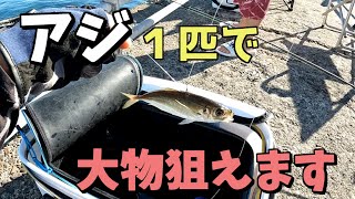 【泳がせ釣り】餌一匹でも釣れたら大物が狙えるので泳がせよう！【鹿島港魚釣園】