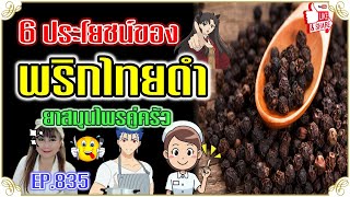 (835) 6 ประโยชน์ของพริกไทยดำ ยาสมุนไพรคู่ครัว !! | Black Pepper | พี่เล็ก Le Amazing