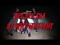 Bee Bee Sea - D.I. Why Why Why (Official Video)