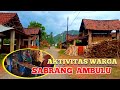 BEGINILAH AKTIVITAS WARGA SABRANG AMBULU JEMBER || SUASANA PEDESAAN JEMBER JAWA TIMUR