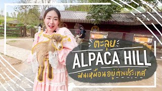 ตะลุย Alpaca Hill ดินแดนสัตว์แปลกราชบุรี สนุกสุดฟิน เหมือนอยู่ต่างประเทศ | EarnEve