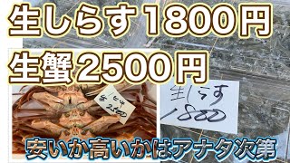 『生しらす1800円、生蟹2500円』#激安  #魚屋　#相木魚問屋　7/2/15