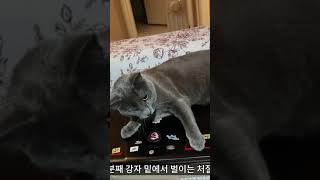 일 못하게 하는 주인님