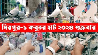 মিরপুর-১ কবুতর হাট ২০২৪ | কবুতর হাট ২০২৪ | pigeon market 2024 | RAFI AHOMED | Kabutar hat 2024 |