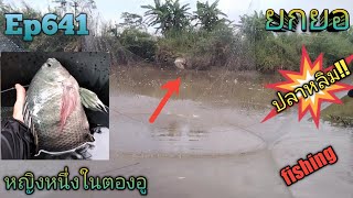 ยกยอแม่น้ำมะ'65 #170ยกยอวันฝนตกหมานๆจ้าว🐟🐟Ep.641#ยกสะดุ้ง #ยกยอ #fishing