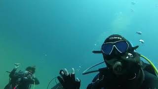 和歌山県白浜の沈船でダイビング！　diving  in japan