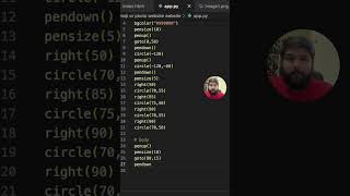 How can you draw Spiderman with Python? 😎 #python