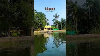 Alleppey Backwaters #alleppy #alappuzha #keralatourism #keralabackwaters #backwaters #nature #travel