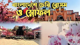 জাপানের চেরি ব্লোসম এবং স্নোফল এখন বাংলাদেশেই 😱 || Cherry Blossom \u0026 Snowfalls in Bangladesh 🌸☃️