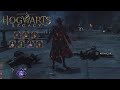 Hogwarts Legacy PS5 All Potions - Free Roam Open World Gameplay 3