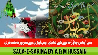 Bus Ab Aa Bhee Jao Zamany ky Hadi |Saqa-e-Sakina by A & M Hussain
