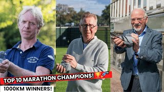 Marathon racing pigeon Champions! Top 10 Long Distance Pigeon Masters .