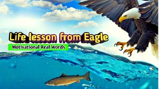 A life lesson from the eagle | Principle of the eagle