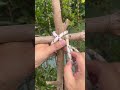 the best bamboo lashing knot