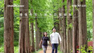 Umeken Lipopo COVID 19 TV30 HD Mandarin 2020 04 30