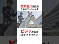 【白毛馬】シロニイの面白い雑学