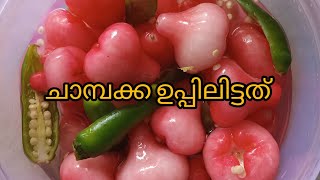 ചാമ്പക്ക ഉപ്പിലിട്ടത് |chambakka|@SakeenaHansil