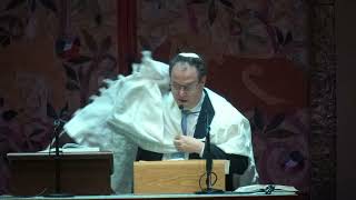 Rabbi Steinhardt Sermon 6.15.24