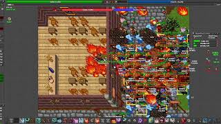 Gunzodus First War Of 2025 :) #gunzodus #tibiawar #tibiagame #tibia