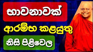 මුලාවේ නොවැටී නිවැරදිව භාවනාවට යොමුවීම||@NauyaneAriyadhammaThero