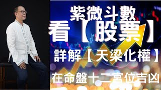 紫微 四化: 天梁星化權|天梁星是(股票)是否會賺錢|天梁星是老人星|官祿宮工作是人事監察|乙干天梁化權在命盤12生肖宮位